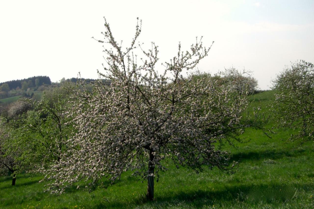 Rhumspringe Ferienwohnung Kuhn מראה חיצוני תמונה